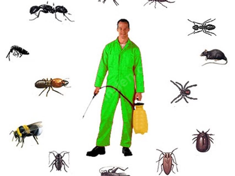 Sığacık Böcek İlaçlama