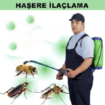 Sığacık Böcek İlaçlama